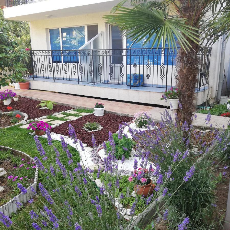 Albatros 2 Family Hotel كيتن المظهر الخارجي الصورة